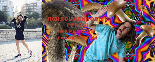 мет Баксан